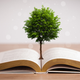 Illustration for article titled Scientists Genetically Modified Trees So They Can Make Greener Paper